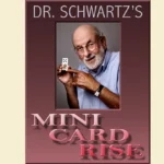 Mini Card Rise
