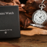 L'orologio Gemini di TCC Magic & Chen Yang